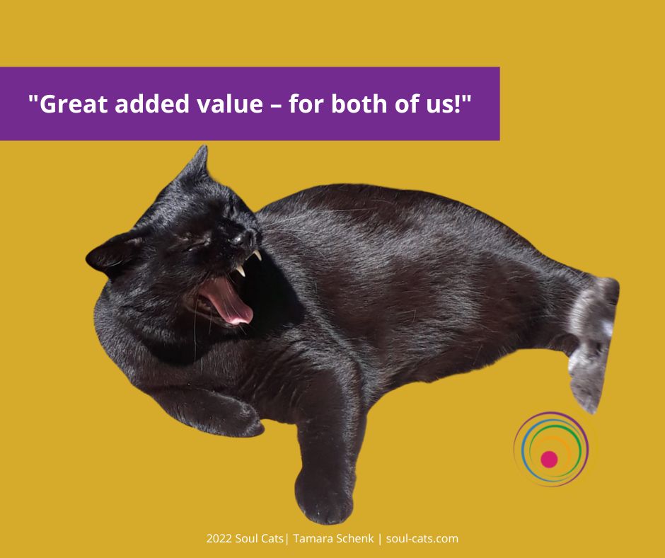 Great added value for both of us | Soul Cats | Tamara Schenk