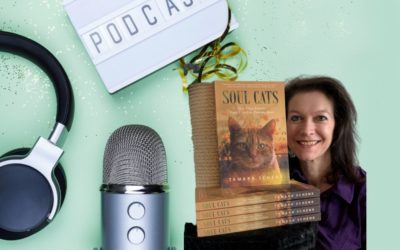 Soul Cats in Podcasts