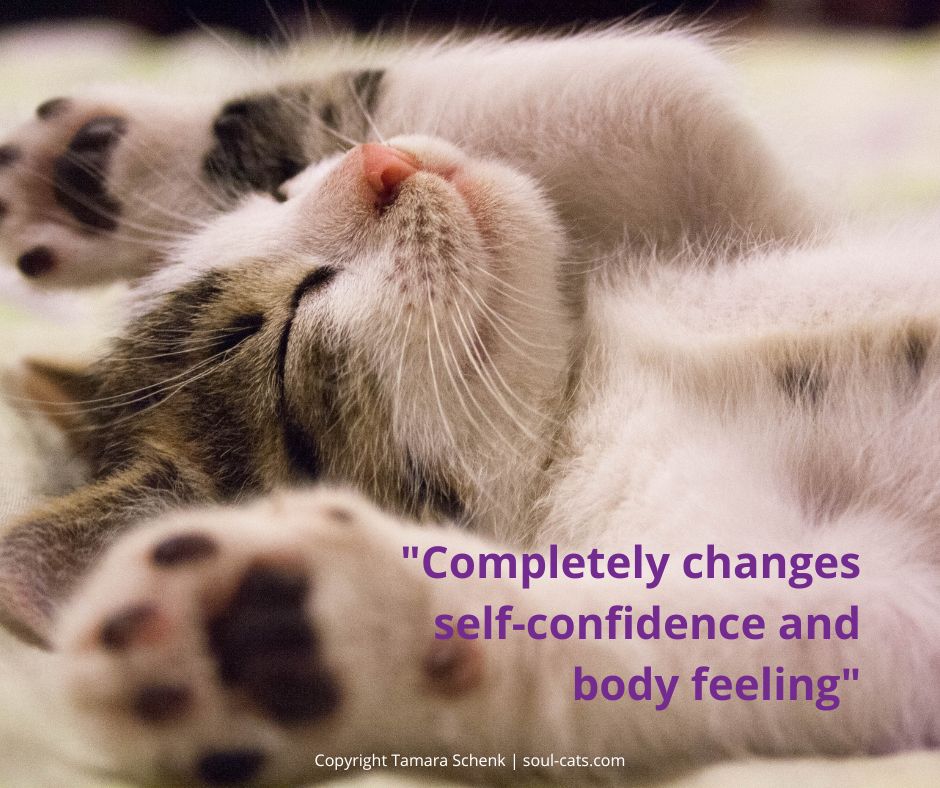 "Completely changes self-confidence and body feeling" | Soul Cats | Tamara Schenk
