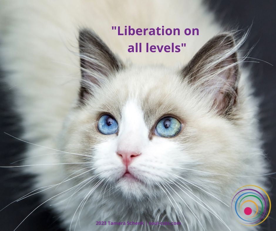 "LIberation on all levels" | Tamara Schenk | Soul Cats